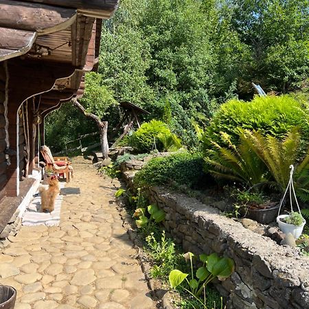 Villa Zelenyj Raj Pashkivtsi  Exterior foto